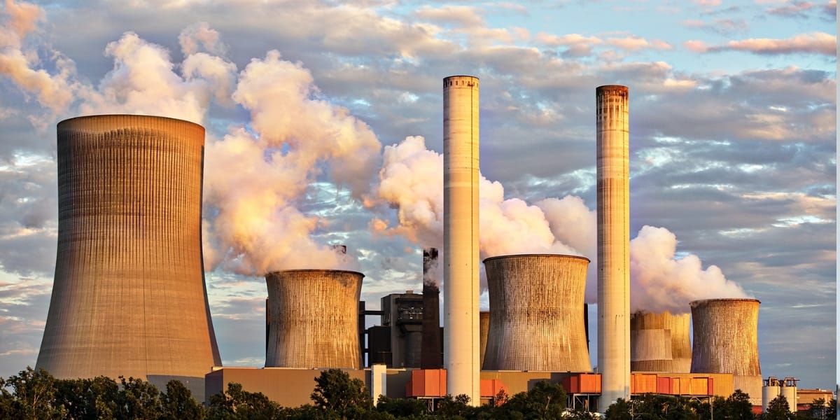 Кухонна сіль vs CO2: Як стартап Mitico рятує планету, не виходячи з кухні